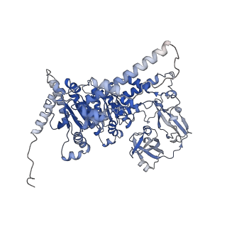 33611_7y53_F_v1-1
The cryo-EM structure of human ERAD retro-translocation complex