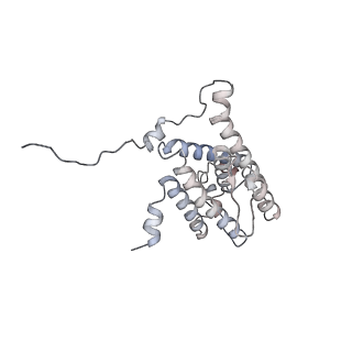 33611_7y53_W_v1-1
The cryo-EM structure of human ERAD retro-translocation complex