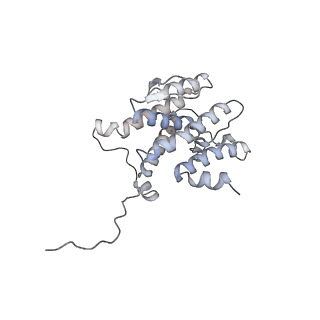 33611_7y53_X_v1-1
The cryo-EM structure of human ERAD retro-translocation complex