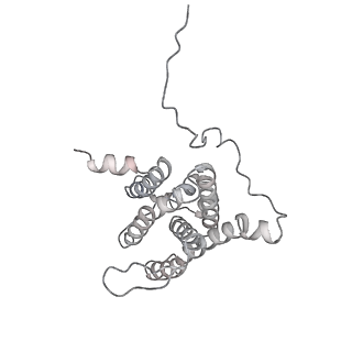 33611_7y53_Y_v1-1
The cryo-EM structure of human ERAD retro-translocation complex