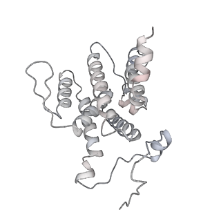 33611_7y53_Z_v1-1
The cryo-EM structure of human ERAD retro-translocation complex