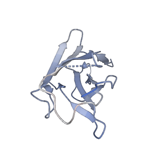 33612_7y58_B_v1-2
CryoEM structure of QacA (D411N), an antibacterial efflux transporter from Staphylococcus aureus