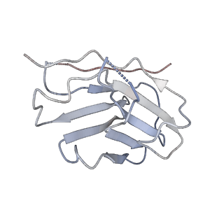 33612_7y58_C_v1-2
CryoEM structure of QacA (D411N), an antibacterial efflux transporter from Staphylococcus aureus