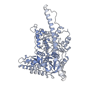 33613_7y59_B_v1-1
The cryo-EM structure of human ERAD retro-translocation complex