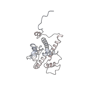 33613_7y59_Z_v1-1
The cryo-EM structure of human ERAD retro-translocation complex