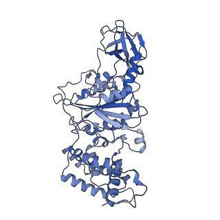 33614_7y5a_B_v1-4
Cryo-EM structure of the Mycolicibacterium smegmatis F1-ATPase