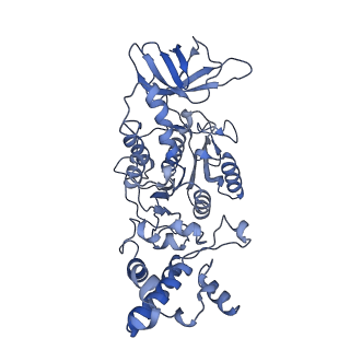 33614_7y5a_D_v1-4
Cryo-EM structure of the Mycolicibacterium smegmatis F1-ATPase