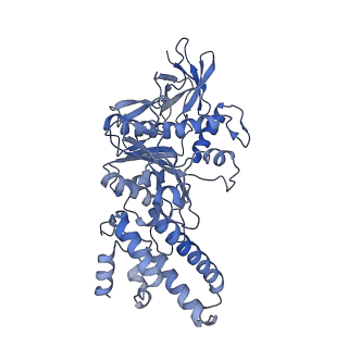 33614_7y5a_E_v1-4
Cryo-EM structure of the Mycolicibacterium smegmatis F1-ATPase