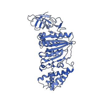 33614_7y5a_F_v1-4
Cryo-EM structure of the Mycolicibacterium smegmatis F1-ATPase