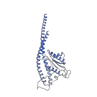 33614_7y5a_G_v1-4
Cryo-EM structure of the Mycolicibacterium smegmatis F1-ATPase