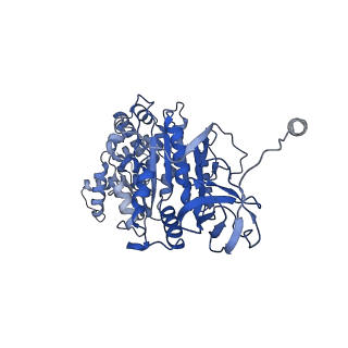 33615_7y5b_A_v1-4
Cryo-EM structure of F-ATP synthase from Mycolicibacterium smegmatis (rotational state 1)