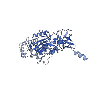 33615_7y5b_B_v1-4
Cryo-EM structure of F-ATP synthase from Mycolicibacterium smegmatis (rotational state 1)