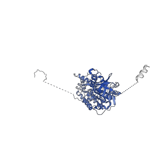 33615_7y5b_C_v1-4
Cryo-EM structure of F-ATP synthase from Mycolicibacterium smegmatis (rotational state 1)