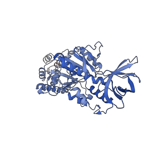 33615_7y5b_D_v1-4
Cryo-EM structure of F-ATP synthase from Mycolicibacterium smegmatis (rotational state 1)