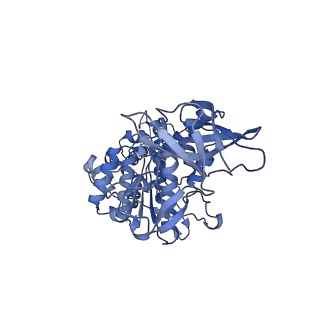 33615_7y5b_E_v1-4
Cryo-EM structure of F-ATP synthase from Mycolicibacterium smegmatis (rotational state 1)