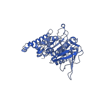 33615_7y5b_F_v1-4
Cryo-EM structure of F-ATP synthase from Mycolicibacterium smegmatis (rotational state 1)