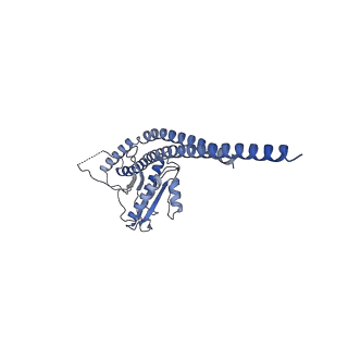 33615_7y5b_G_v1-4
Cryo-EM structure of F-ATP synthase from Mycolicibacterium smegmatis (rotational state 1)