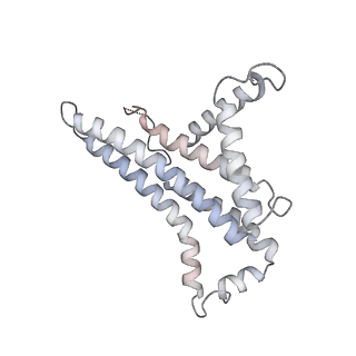 33615_7y5b_a_v1-4
Cryo-EM structure of F-ATP synthase from Mycolicibacterium smegmatis (rotational state 1)
