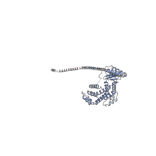 33615_7y5b_d_v1-4
Cryo-EM structure of F-ATP synthase from Mycolicibacterium smegmatis (rotational state 1)