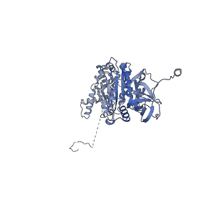 33616_7y5c_A_v1-4
Cryo-EM structure of F-ATP synthase from Mycolicibacterium smegmatis (rotational state 2)