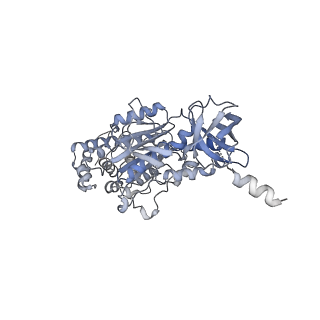 33616_7y5c_B_v1-4
Cryo-EM structure of F-ATP synthase from Mycolicibacterium smegmatis (rotational state 2)