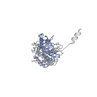 33616_7y5c_C_v1-4
Cryo-EM structure of F-ATP synthase from Mycolicibacterium smegmatis (rotational state 2)