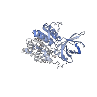 33616_7y5c_D_v1-4
Cryo-EM structure of F-ATP synthase from Mycolicibacterium smegmatis (rotational state 2)