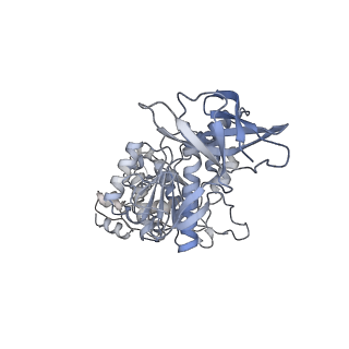 33616_7y5c_E_v1-4
Cryo-EM structure of F-ATP synthase from Mycolicibacterium smegmatis (rotational state 2)