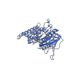 33616_7y5c_F_v1-4
Cryo-EM structure of F-ATP synthase from Mycolicibacterium smegmatis (rotational state 2)