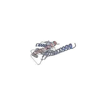 33616_7y5c_G_v1-4
Cryo-EM structure of F-ATP synthase from Mycolicibacterium smegmatis (rotational state 2)
