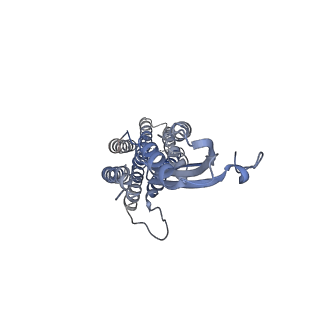 33620_7y5h_A_v1-1
Cryo-EM structure of a eukaryotic ZnT8 at a low pH