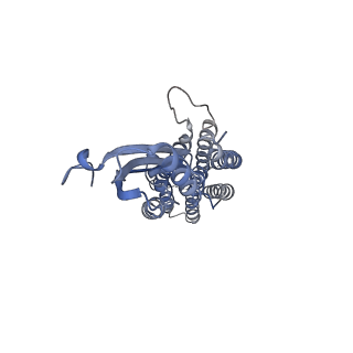 33620_7y5h_B_v1-1
Cryo-EM structure of a eukaryotic ZnT8 at a low pH