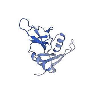 33621_7y5n_A_v1-0
Structure of 1:1 PAPP-A.ProMBP complex(half map)