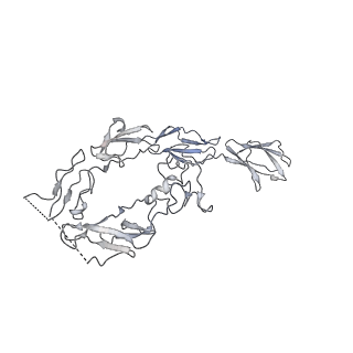 33621_7y5n_D_v1-0
Structure of 1:1 PAPP-A.ProMBP complex(half map)