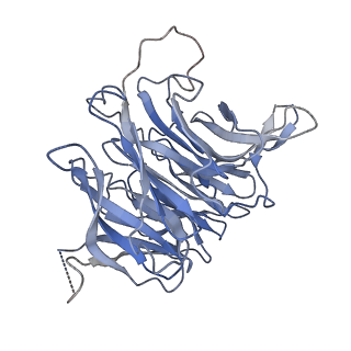 33625_7y5u_B_v1-1
Cryo-EM structure of the monomeric human CAF1LC-H3-H4 complex