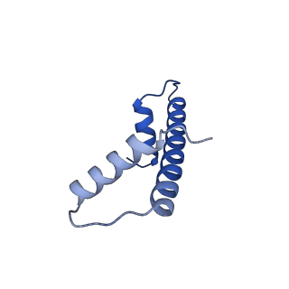 33627_7y5w_A_v1-2
Cryo-EM structure of the left-handed Di-tetrasome