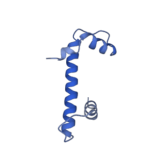 33627_7y5w_B_v1-2
Cryo-EM structure of the left-handed Di-tetrasome
