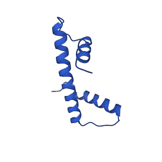 33627_7y5w_C_v1-2
Cryo-EM structure of the left-handed Di-tetrasome