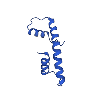 33627_7y5w_D_v1-2
Cryo-EM structure of the left-handed Di-tetrasome