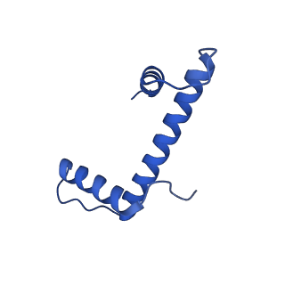 33627_7y5w_E_v1-2
Cryo-EM structure of the left-handed Di-tetrasome