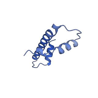 33627_7y5w_F_v1-2
Cryo-EM structure of the left-handed Di-tetrasome