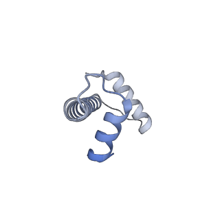 33627_7y5w_G_v1-2
Cryo-EM structure of the left-handed Di-tetrasome