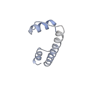 33627_7y5w_H_v1-2
Cryo-EM structure of the left-handed Di-tetrasome