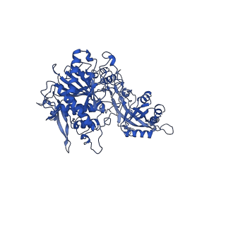 33628_7y5x_A_v1-0
CryoEM structure of PS2-containing gamma-secretase treated with MRK-560