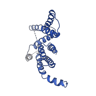 33628_7y5x_B_v1-0
CryoEM structure of PS2-containing gamma-secretase treated with MRK-560