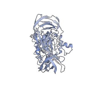 6810_5y5x_A_v1-2
V/A-type ATPase/synthase from Thermus thermophilus, rotational state 1