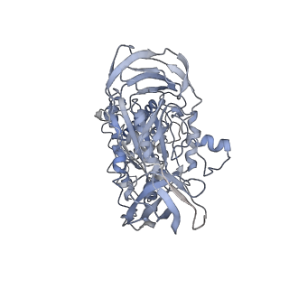 6810_5y5x_A_v1-3
V/A-type ATPase/synthase from Thermus thermophilus, rotational state 1