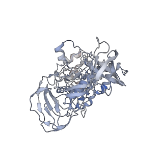 6810_5y5x_B_v1-2
V/A-type ATPase/synthase from Thermus thermophilus, rotational state 1
