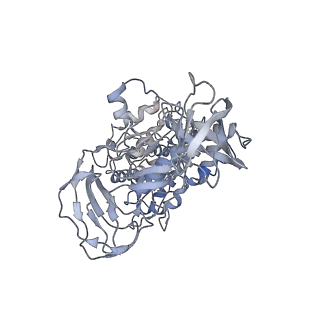 6810_5y5x_B_v1-3
V/A-type ATPase/synthase from Thermus thermophilus, rotational state 1