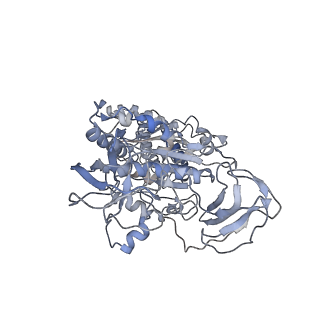 6810_5y5x_C_v1-2
V/A-type ATPase/synthase from Thermus thermophilus, rotational state 1
